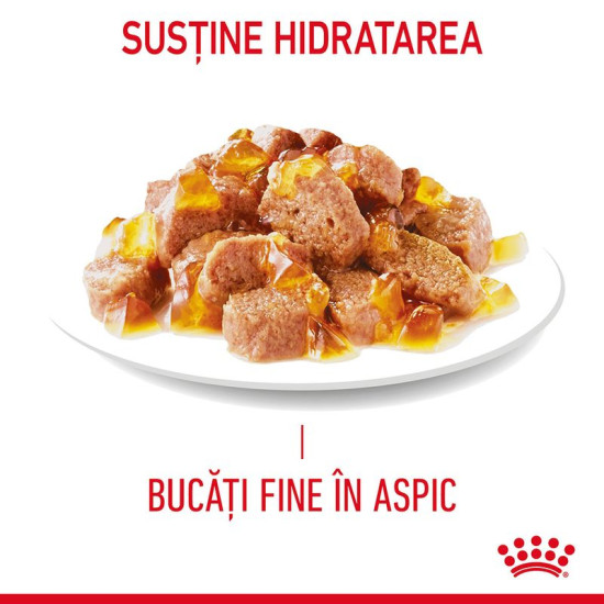 Royal Canin Light Weight Care – Hrană Umedă Premium pentru Controlul Greutății la Pisici, în Gelatină, 85 g